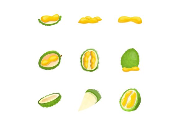 Download Tropical Durian Icon Set, Cartoon Style - Premium Resources